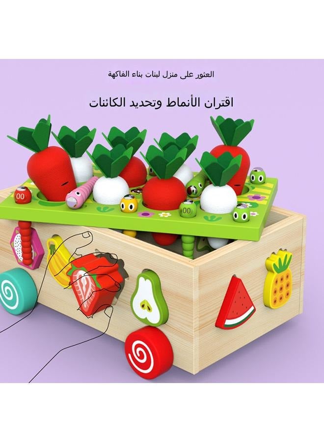 Montessori Toys for 2,3,4 Year Old Baby Boys and Girls, Carrots Harvest Game, Wooden Shape Sorting Toys Gifts for Toddlers, Kids Age 1-3, Wood Preschool Learning Fine Motor Skills Game - Image 2