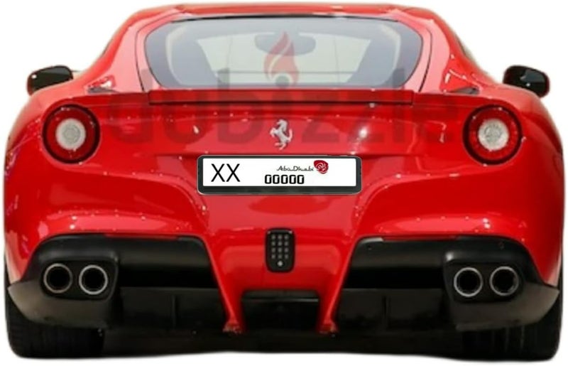 ETAVA Sport Car Number Plate License Frame Set – Mini & Long Size Decorative Plate Cover | Luxurious Premium Look | Universal Fit for UAE Vehicles | Set of 2 (31 × 10 cm + 53 × 13 cm) - Image 4