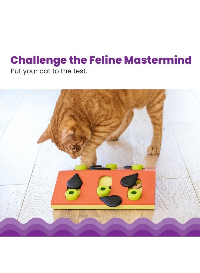 مراحل القطط لعبة ألغاز ومسابقات قطط من تصميم نينا أوتوسون - ألغاز تفاعلية لمكافآت القطط - Image 1