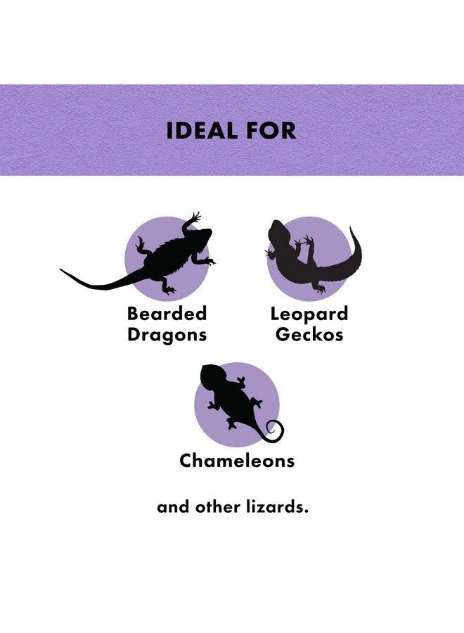 Zilla Reptile Munchies, Mealworms, AllNatural, Dehydrated Mealworms, Ideal For Bearded Dragons, Leopard Geckos, Chameleons And Other Lizards, Resealable Bag - Image 4