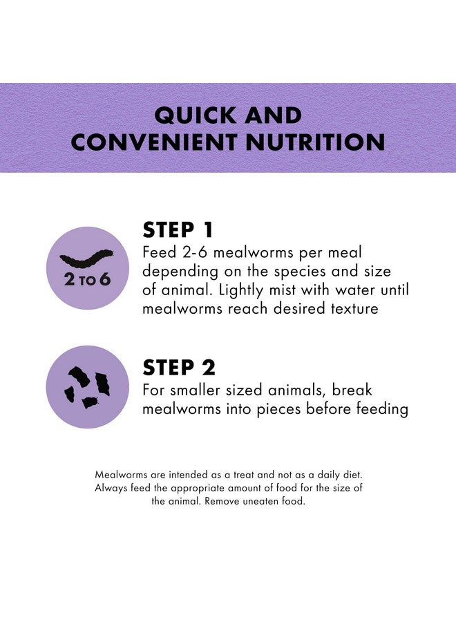 Zilla Reptile Munchies, Mealworms, AllNatural, Dehydrated Mealworms, Ideal For Bearded Dragons, Leopard Geckos, Chameleons And Other Lizards, Resealable Bag - Image 3