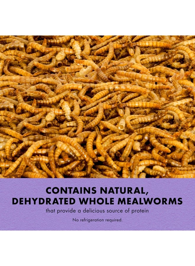 Zilla Reptile Munchies, Mealworms, AllNatural, Dehydrated Mealworms, Ideal For Bearded Dragons, Leopard Geckos, Chameleons And Other Lizards, Resealable Bag - Image 2