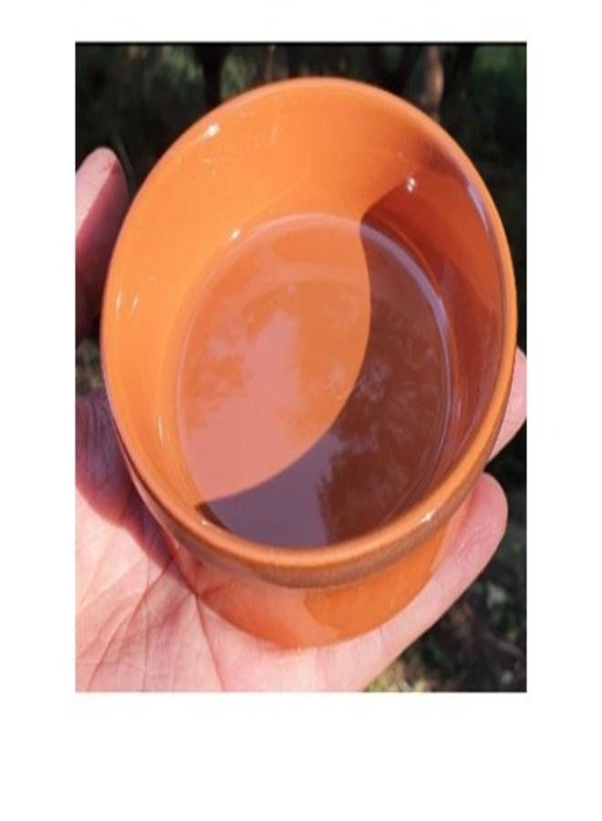 Reptile Feeding Bowl Orange Colour - 9.5x6cm - Image 2