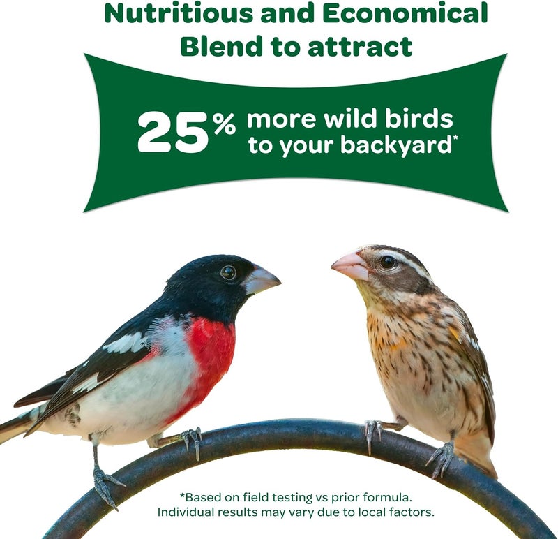 Kaytee Wild Bird Food 5 lb - Image 4