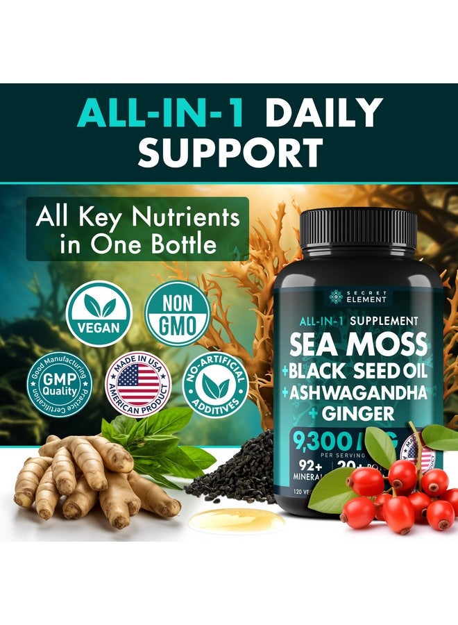 SECRET ELEMENT زيت بذور الكمون الأسود من طحالب البحر الأيرلندية مع الأشواغاندا والزنجبيل، 20,000 ملغ كبسولات، طحالب البحر وزيت بذور الكمون الأسود والأشواغاندا وجذر الأرقطيون، مكمل شامل، 120 كبسولة - Image 2