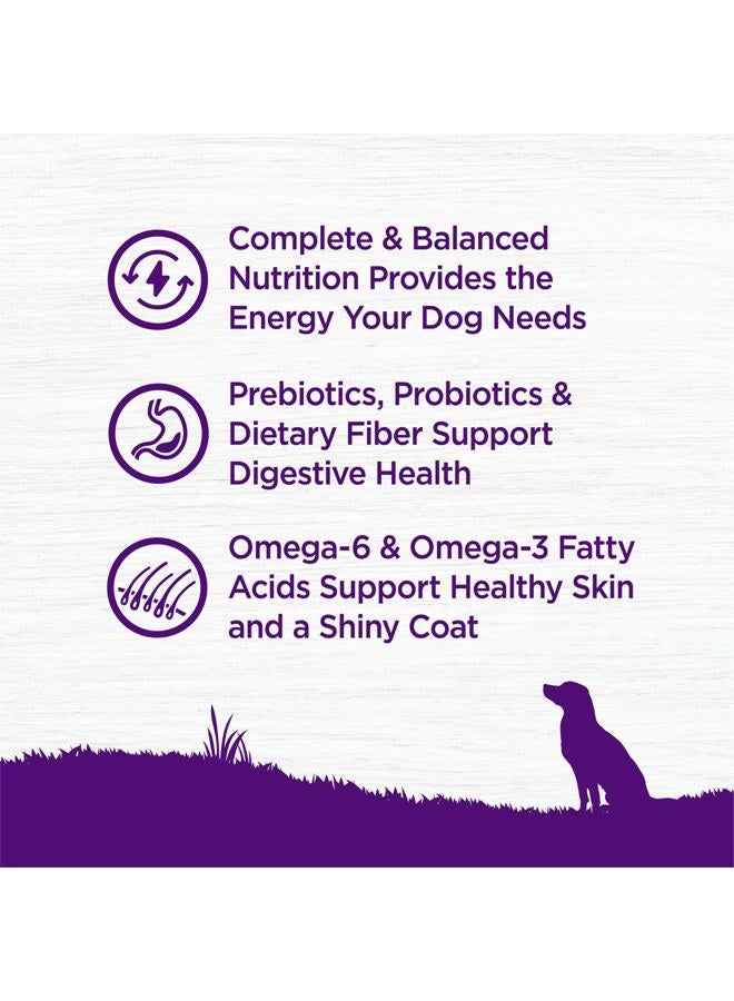 Wellness Complete Health Natural Dry Dog Food, Chicken & Oat - Image 4