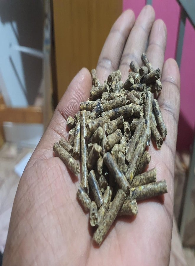 طعام نيتيشري الممتاز للأرانب البالغة على شكل حبيبات، اختيار أخصائيي التغذية (طعام الأرانب 500 غرام) - Image 3