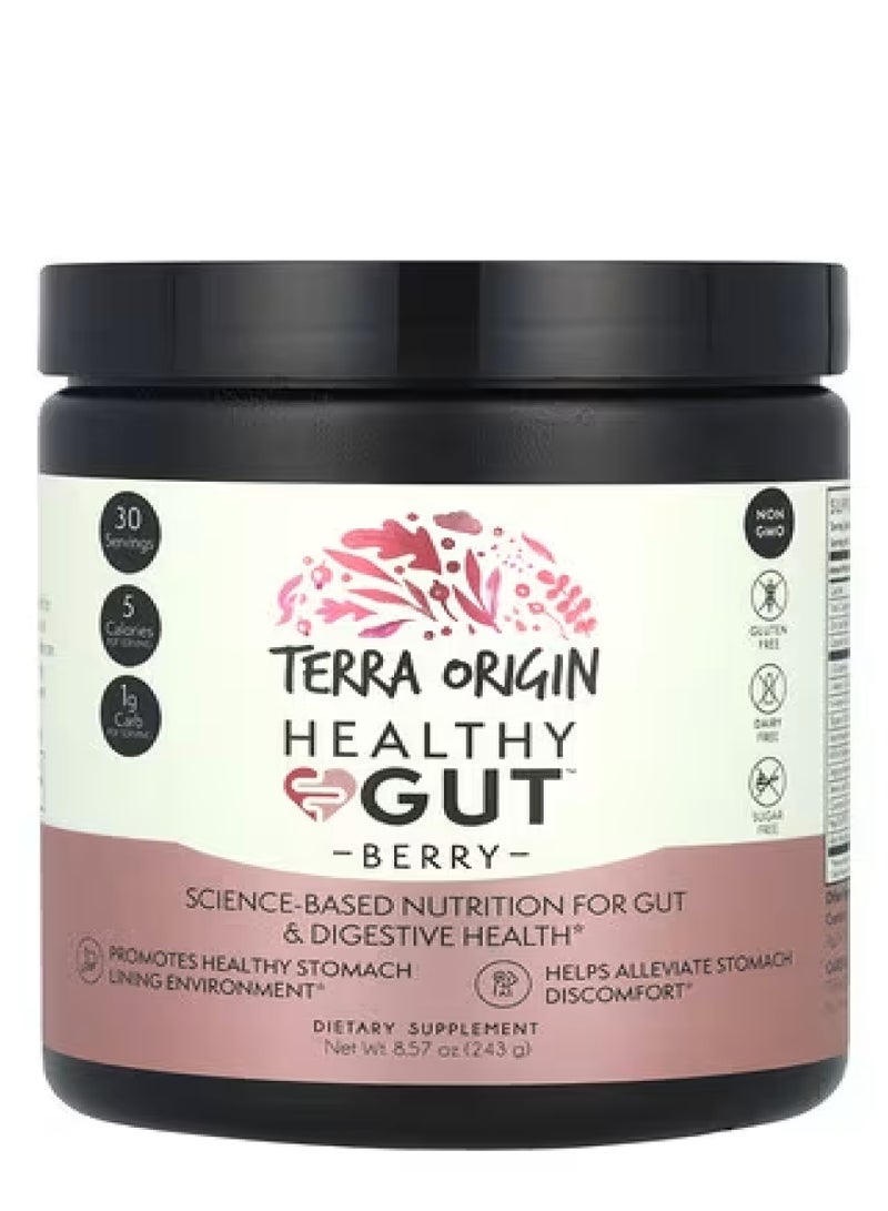 Terra Origin Healthy Gut™, Berry, 8.57 oz (243 g)