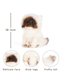 Y&D Cat Plush Toy Simulated Siamese cat shape Material Soft Shape Realistic 10 Inch Kitten Doll Cute Ragdoll Great Birthday Gift for Kids Friends Lovers  - Image 3