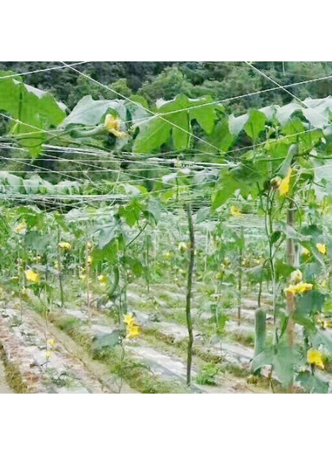 Arabest - Large Trellis Netting Plant Climbing Net Garden Vegetable Climbing Support Mesh for Pea Cucumber Vine - Image 1