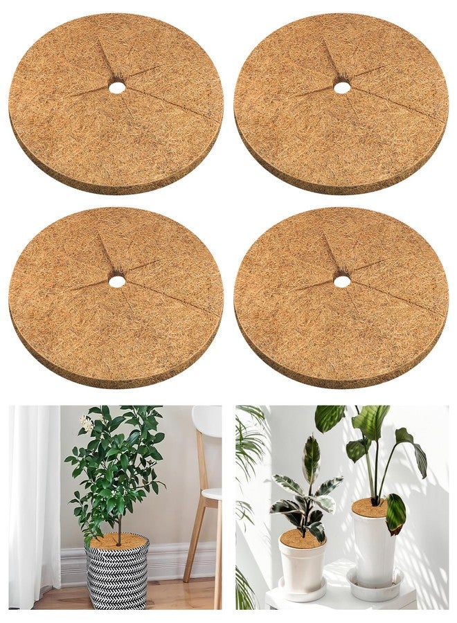 Legigo 4pcs Coconut Fiber Mulch Ring Tree Plant Protector Mat, 11.8 Inch Natural Coco Coir Tree Protection Ring Plant Pot Soil Cover, Tree Rings Disc Plant Cover for Indoor Outdoor Plants, Landscaping - Image 1