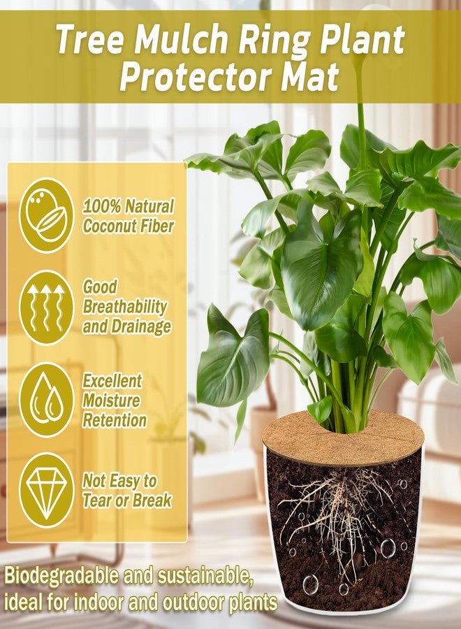 Legigo 4pcs Coconut Fiber Mulch Ring Tree Plant Protector Mat, 11.8 Inch Natural Coco Coir Tree Protection Ring Plant Pot Soil Cover, Tree Rings Disc Plant Cover for Indoor Outdoor Plants, Landscaping - Image 3