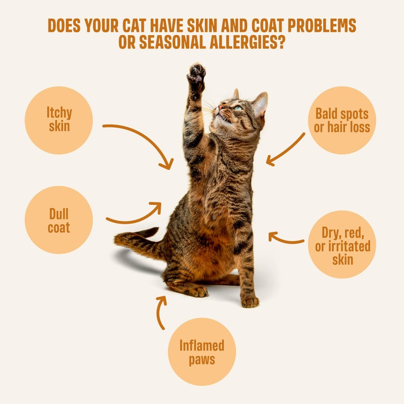 ivvi Skin & Coat for Cats â€“ Functional Creamy Snack with Salmon Oil, Algae Oil, Zinc, Collagen & Biotin â€“ Supports Skin and Fur Health â€“ 30 x 0.53 oz Sachets â€“ with Real Tuna - Image 3