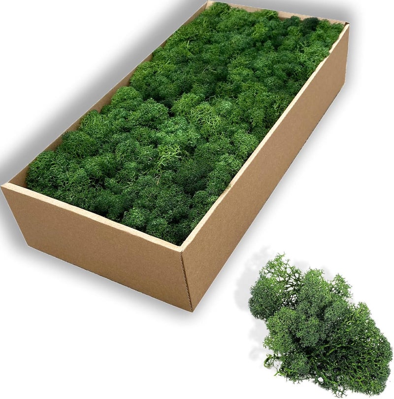 Gusaloo Preserved 5oz Moss Artificial Moss Natural Fresh Green Moss for Craft Handicraft Arts Floral Project Wall Decor Table Decor Wedding Centerpieces Garden Terrariums Decoration-Green - Image 1