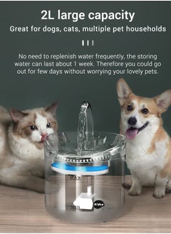 Pet Intelligent Induction Automatic Water Dispenser Circulation Filter Constant Temperature Pet Water Dispenser Unplugged Silent Cat Pet Supplies - pzsku/ZFAAA5A6B96F6792951E1Z/45/_/1666498161/61d64745-b93b-4822-9b96-f869dff2ebb4