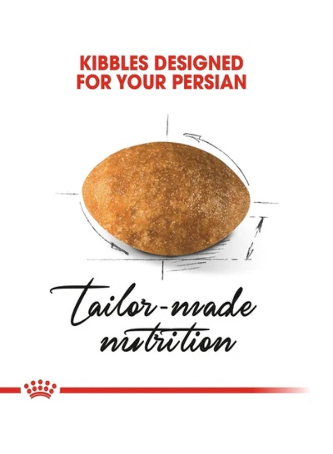 رويال كانين طعام جاف للقطط الفارسية البالغة من رويال كانين، 4 كجم - Image 3