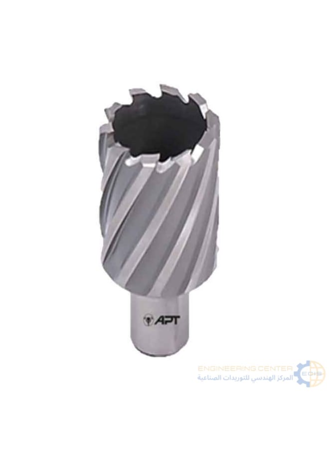 APT HSS-XE Magnetic Bit 16mm x 5.5cm