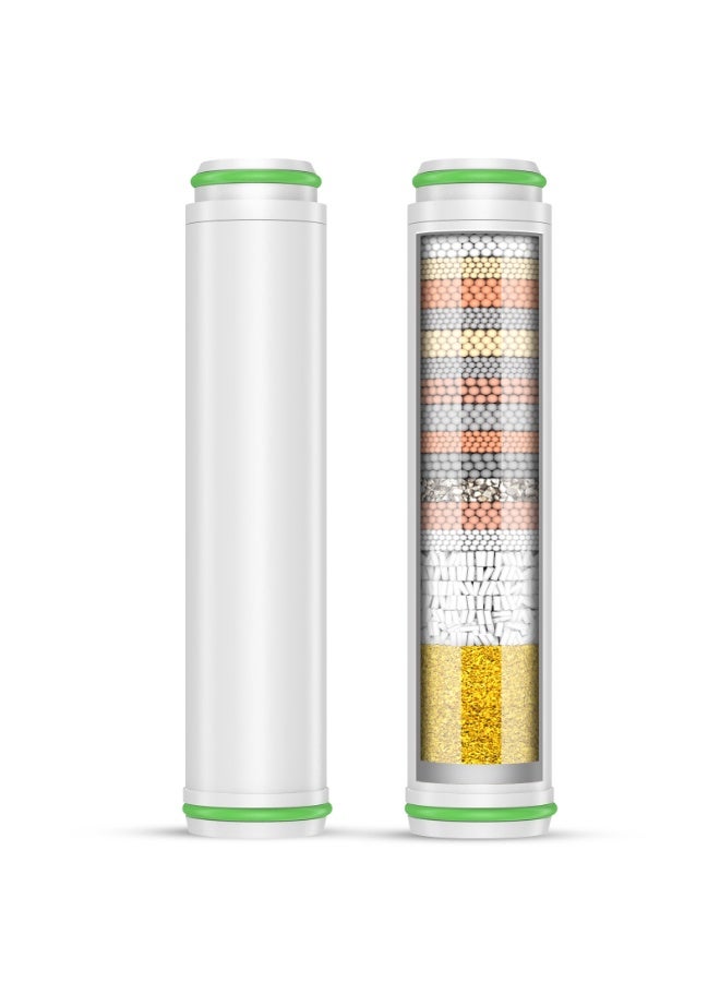 FEELSO 2Pack Replacement Shower Filter Only for FEELSO 3+1 Spary Modes - Image 1