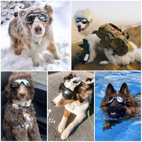 Billionchains Dog Goggles Dog Sunglasses for Medium to Large Breed AntiUV Eye Protection with Adjustable Straps Silver - Image 3