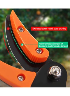 KSEIBI Long Reach Cut And Hold Bypass Pruner, 1.0m, SK5 Blade, Extendable Tree Pruner Cut and Hold Pruning Trimmer, Trimming Small Branches, Telescoping Fruit Picker Pole Tools for Harvesting Fruits and Vegetables.  - Image 2