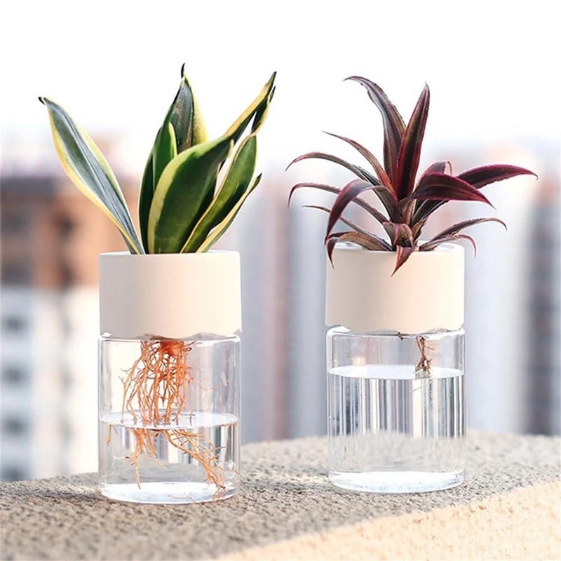 Two Transparent Hydroponic Basins – Plastic Plant Pots, for Orchid, Hydroponics, 2 Sizes