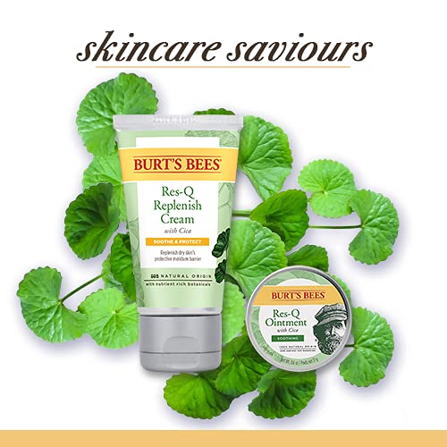 Burt's Bees 100% Natural Origin Multipurpose Res-Q Ointment with Cica, 15g, 15 g (Pack of 1) - Image 4