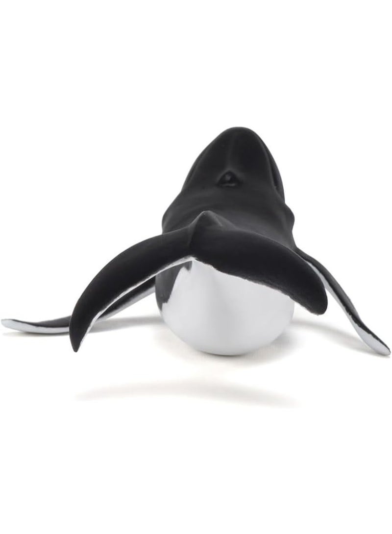 بابو مجسم حوت صغير من بابو - لعبة حيوان بحري مرسومة يدويًا للأطفال من عمر 3 سنوات فما فوق | نموذج واقعي لعجل ثديي بحري باللونين الأبيض والأسود | هدية تعليمية عن الحياة البرية (14 × 9 × 4 سم) - Image 2