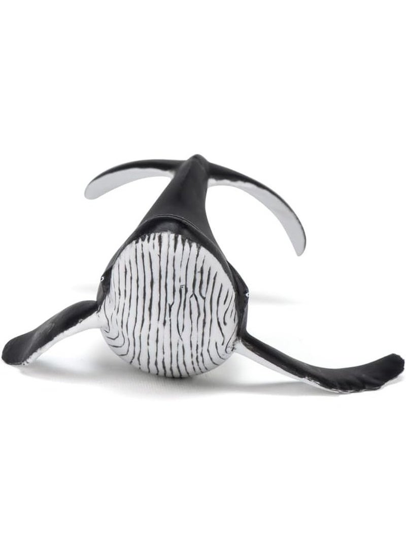 بابو مجسم حوت صغير من بابو - لعبة حيوان بحري مرسومة يدويًا للأطفال من عمر 3 سنوات فما فوق | نموذج واقعي لعجل ثديي بحري باللونين الأبيض والأسود | هدية تعليمية عن الحياة البرية (14 × 9 × 4 سم) - Image 5