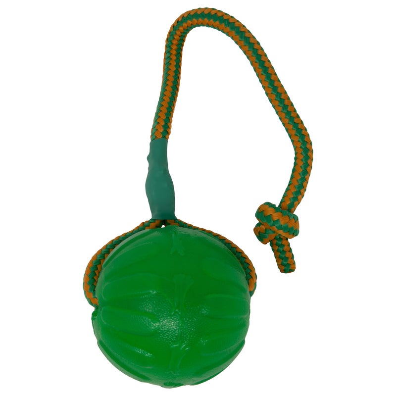 Starmark Everlasting Fun Ball on a Rope Dog Toy,Greens,Medium/Large - Image 1