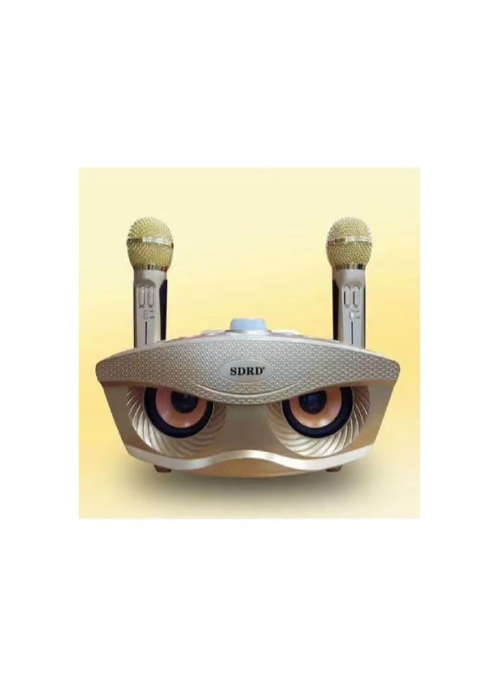 SDRD SD-306 Golden Portable Bluetooth Karaoke Machine with Dual Wireless Microphones – Indoor/Outdoor Speaker for Kids & Adults, Parties & Birthdays - Image 1