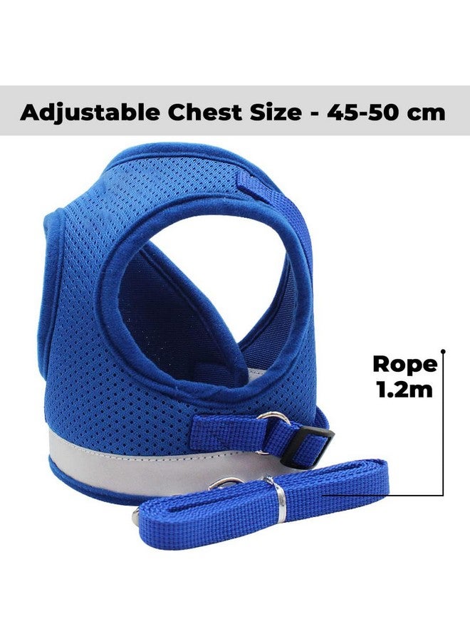 هومستيك حزام عاكس للكلاب مع مقود قابل للتعديل | نسيج شبكي من البوليستر قابل للتنفس | مقاس كبير جدًا | Ht-844 | قبضة مريحة بدون سحب | أبازيم سريعة الفك | حزام سهل الارتداء والخلع | أزرق - Image 4