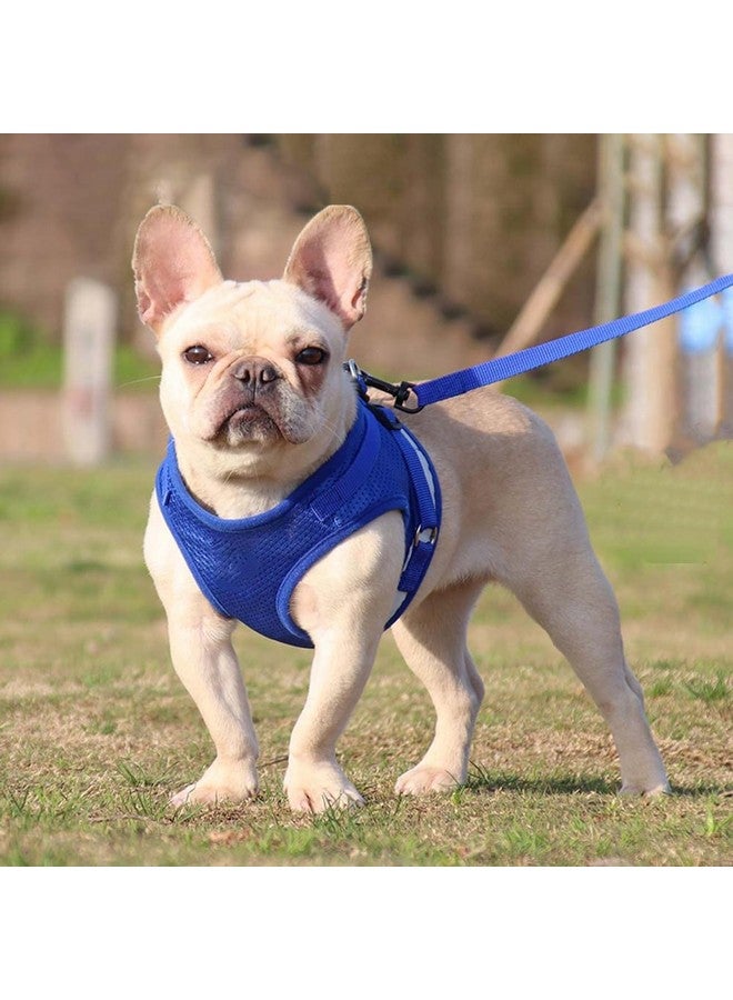 هومستيك حزام عاكس للكلاب مع مقود قابل للتعديل | نسيج شبكي من البوليستر قابل للتنفس | مقاس كبير جدًا | Ht-844 | قبضة مريحة بدون سحب | أبازيم سريعة الفك | حزام سهل الارتداء والخلع | أزرق - Image 1