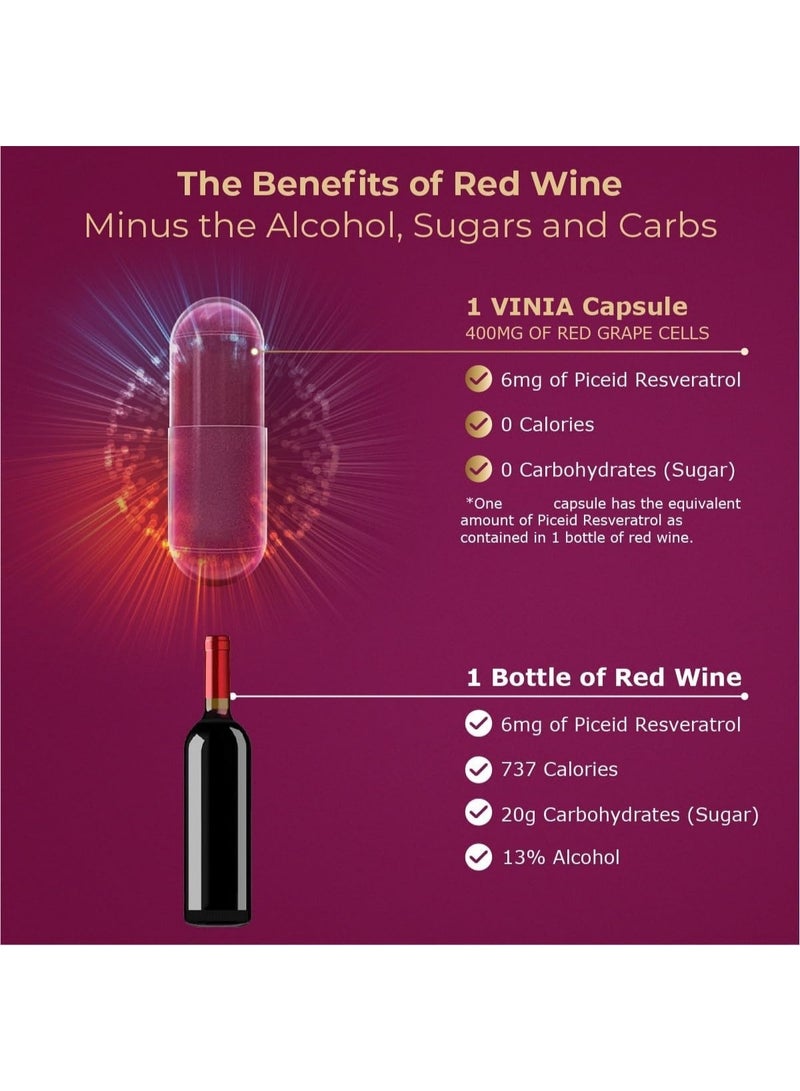 VINIA Premium Piceid Resveratrol Supplement For Heart Health & Blood Flow Support Vegan Capsules (60 Capsules) - Image 2