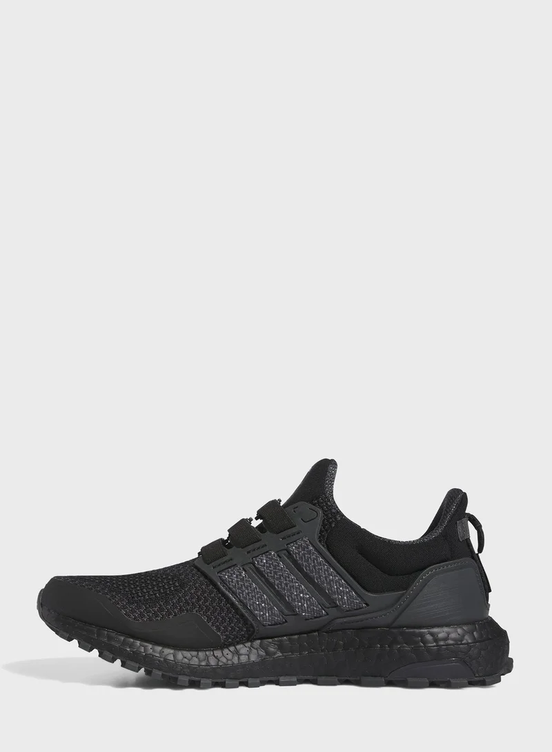 Adidas Ultra Boost 1.0 Shoes