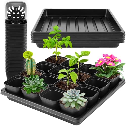 warmfarm Thick Seedling Trays 3 Pics with 50 Pics Easy-to-Remove Nursery Pots, Durable Trays for Seed Starting, Propagation, and Microgreens - Image 1