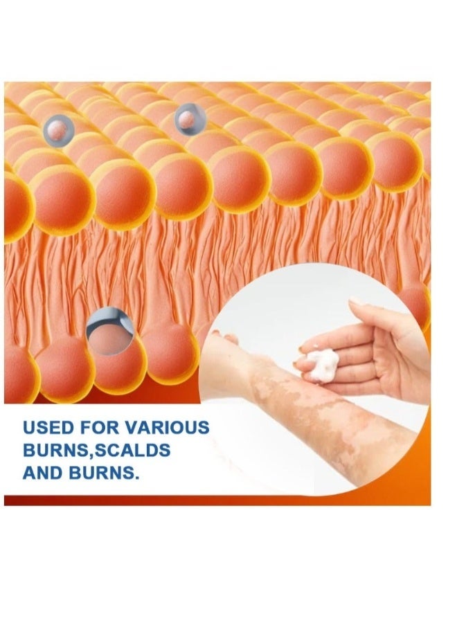 QANZIRE Burn Ointment Burning Wound Care Anti-Infection Cream Antibacterial Skin Healing Burn Ointment 20g - Image 5