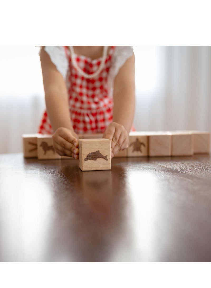 بيرتش آند باغز مكعبات تعليمية خشبية - لعبة الكلمات التهجئة الخشبية الساخنة للأطفال، ألعاب تعليمية تعليمية مبكرة للأطفال، صندوق ألغاز خشبي للأطفال، لعبة تعليم مونتيسوري، حزمة من 26 قطعة - Image 3