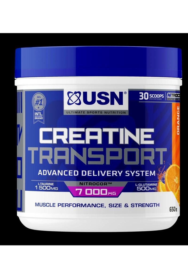 USN - USN Creatine Transport Advanced Delivery System Orange 650g - Image 1