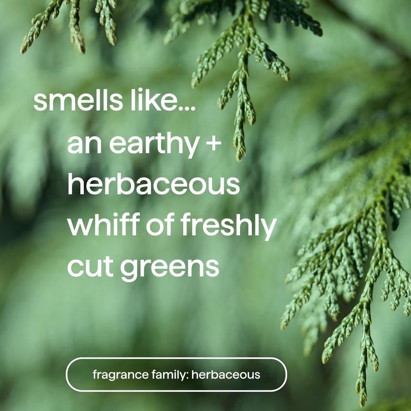 Method Men 2-in-1 Shampoo + Conditioner; Juniper + Sage; Pack Of 6; Juniper & Sage; 6 Count - Image 2