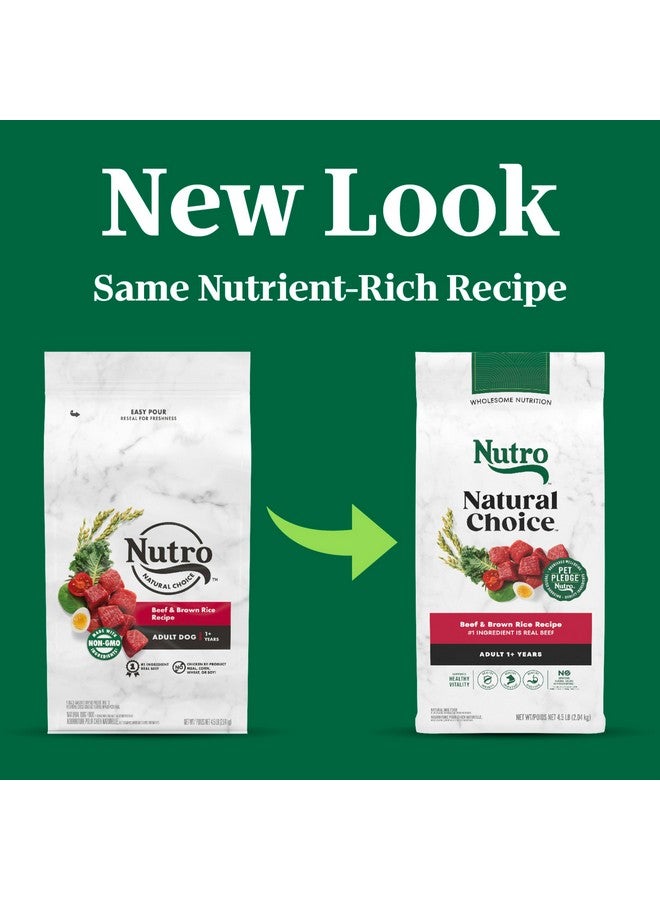نوترو طعام الكلاب الجاف الطبيعي Nutro Natural Choice للبالغين، وصفة لحم البقر والأرز البني، 4.5 رطل. - Image 2