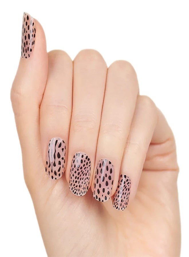 Color Street Purr Diem - Color Street Nail Strips (Eat Prey Love), Black Cheetah Print on Clear Overlay, 16 Count (Pack of 1) (FDL060) - Image 3