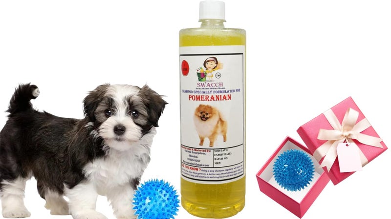 swacch Shampoo | Puppy Safe Shampoo | PH Balanced | Ditch to Itch for Pomeranian Dog Shampoo 1 Litre (Lemon) + Spike Ball Chew Toy Combo Pack - Image 1
