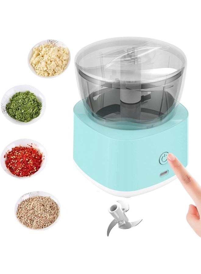 Electric Food Chopper Mini Chopper, Perfect for Garlic, Onion, Fruits, Vegetables, with 2 Stainless Steel Blades, 250ml  - Image 1