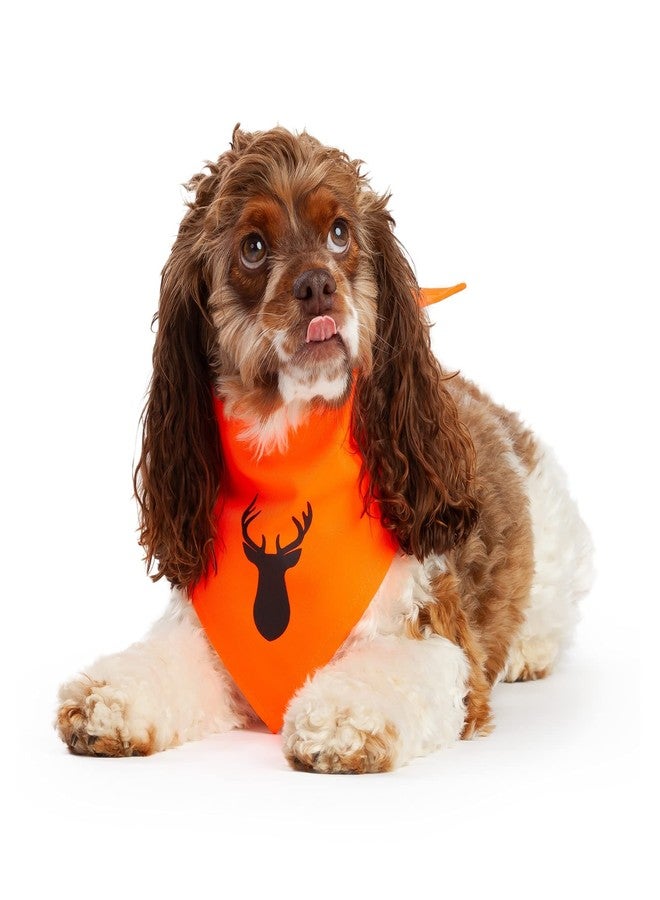 Midlee Blaze Orange Hunter Safety Dog Bandana (Large) - Image 3