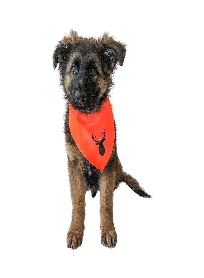 Midlee Blaze Orange Hunter Safety Dog Bandana (Large) - Image 4