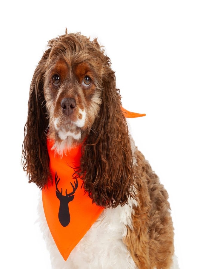 Midlee Blaze Orange Hunter Safety Dog Bandana (Large) - Image 1