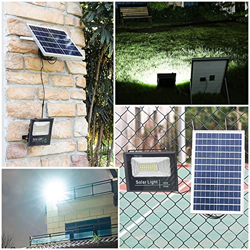 Epyz 60Watt Solar Flood Light Outdoor Waterproof Double Colour Light for Garden, Home, Patio, Lawn, Garage, [ 81LED, 11000mAh, Pack of 1, Warm Yellow & Cold White ] - Image 2
