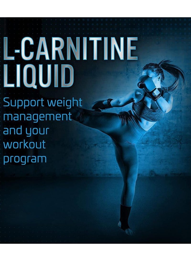 Basix L-Carnitine 3500 Liquid & Green Tea 480ml Blue Razz Rush - Image 2