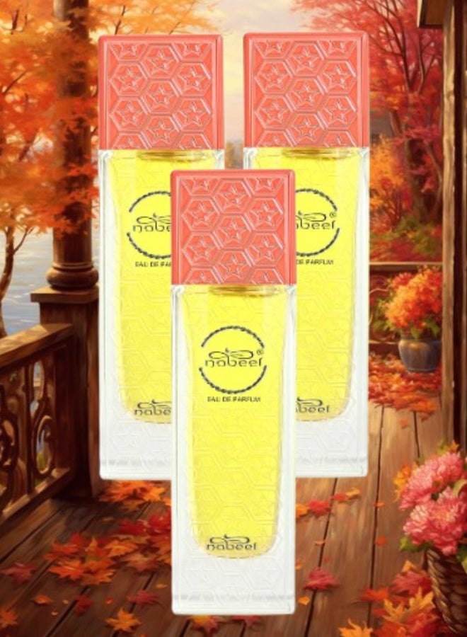 Nabeel 3 Pieces Nabeel Perfume 50ML - Image 1