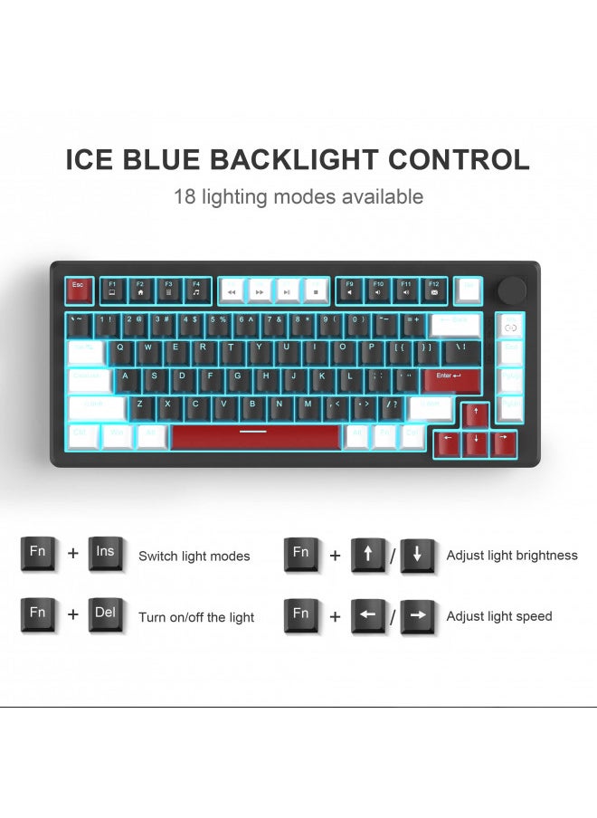 MageGee 75% Mechanical Gaming Keyboard, Compact Blue Backlit Wired Gaming Keyboard with Yellow Switches, EVA Foam, Knob Control, STAR75 Portable NKRO PC Gaming Keyboard - White & Black - pzsku/ZFABD1B7801EB124C2394Z/45/_/1732280727/fc00758a-5da1-4808-bdc6-d1371bfc023e